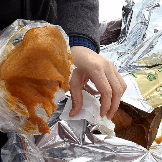 Apricot Puree with High Quality