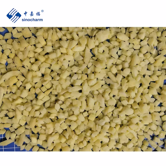 Purée de gingembre surgelée de qualité supérieure