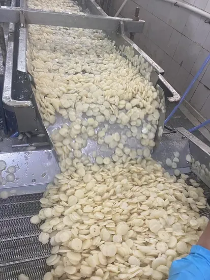 Pâte de citrouille/purée de citrouille 100 % pure citrouille en boîte